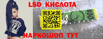 ГАЛЛЮЦИНОГЕННЫЕ ГРИБЫ Свободный